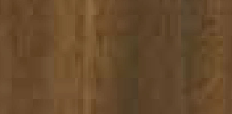 9219 9219